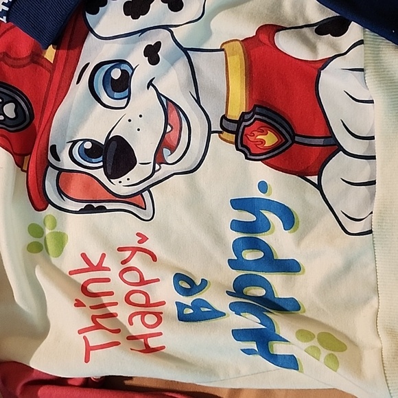 Paw Patrol EUC Tag says 3-4 yrs old - Picture 2 of 8